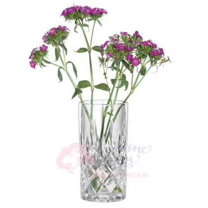 Ваза Nachtmann Noblesse Hurricane Lamp, хрустальное стекло, высота 12 см \ 106017